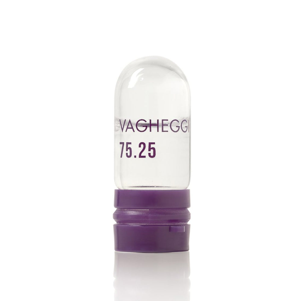 Kit de traitement intensif Longévité 75.25 - Vagheggi
